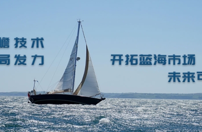 6686体育手机客户端张燕生：前瞻技术布局发力，开拓蓝海市场可期
